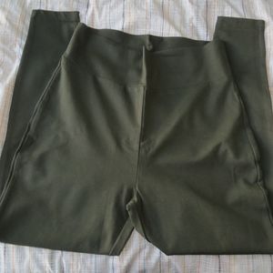 Forever 21 Plus Olive Knit Pants